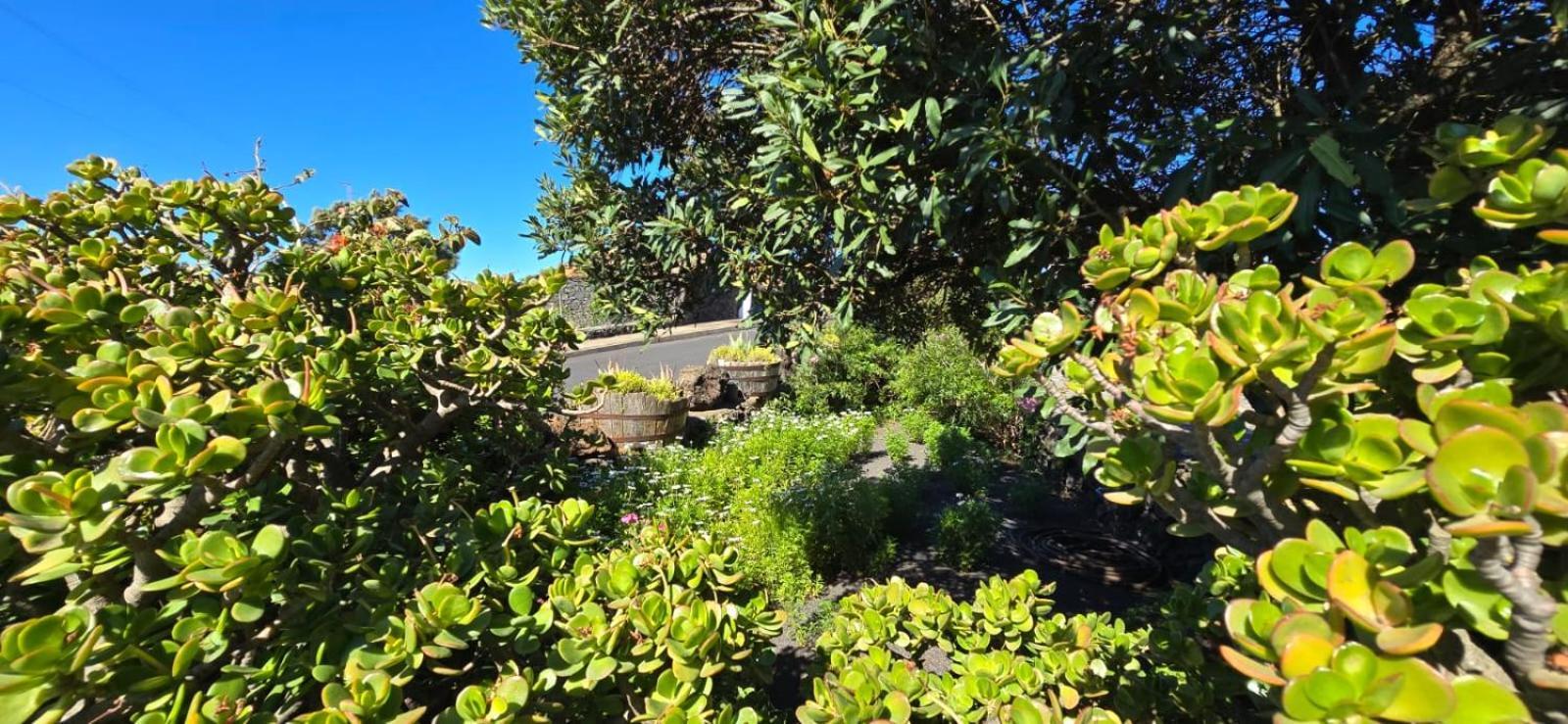 Vivienda Vacacional El Lagar, Bodega A Fuencaliente de la Palma Exteriör bild